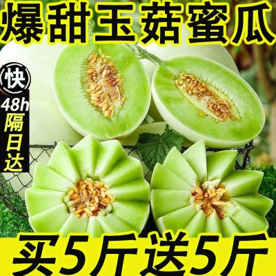 【爆甜】玉菇甜瓜蜜瓜应当季新鲜水果整箱批发玉菇香瓜羊角哈密瓜