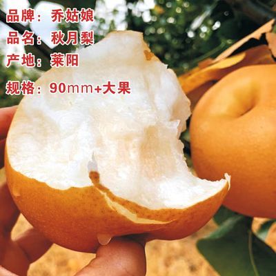 【新时代】正宗莱阳秋月梨脆甜不面梨子头茬大果净4.5斤巨惠