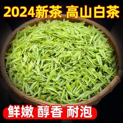 珍稀白茶2024新绿茶高档茶叶批发绿茶高山嫩芽绿茶春茶正宗醇香