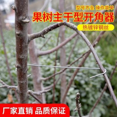 主干型果树拉枝器定型器苹果梨李子樱桃树开角器果园农用拉平工具