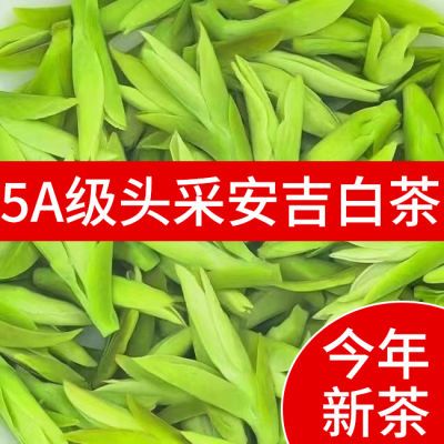 正宗安吉白茶2024新茶一级特级头采明前嫩芽白茶浓香型高档礼