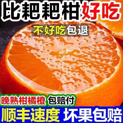 【小二推荐】四川青见耙耙柑爱媛38号果冻橙橘子桔子沃柑新鲜水