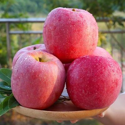 山东烟台红富士苹果当季现摘水果新鲜脆不打蜡带皮吃