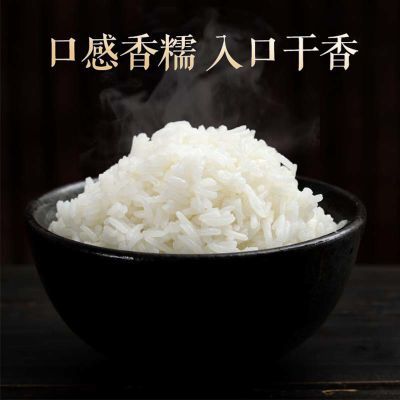 正宗猫牙米新米晚稻香米长粒香大米丝苗10斤袋煲仔饭米蛋炒饭粥米