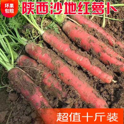 红萝卜陕西沙地新鲜胡萝卜新鲜蔬菜水果萝卜农家自种现挖生吃脆甜