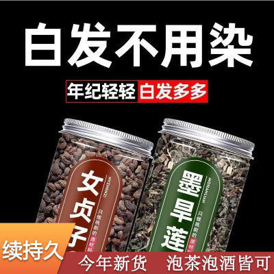 正宗女贞子旱莲草组合茶泡酒泡茶中药材女贞子旱莲草正药材女贞子