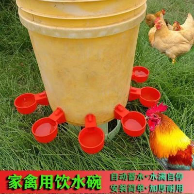 鸡用饮水碗鸽子鹌鹑自动饮水碗饮水器小鸡雏鸡喝水碗鸟用饮水喂水