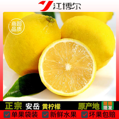 【一级黄柠檬】四川安岳产地直发大果奶茶店专用薄皮鲜果新鲜柠檬