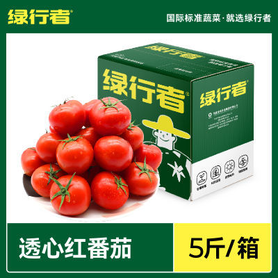 【绿行者】透心红番茄5斤小西红柿新鲜沙瓤蔬菜儿童生吃多汁水果