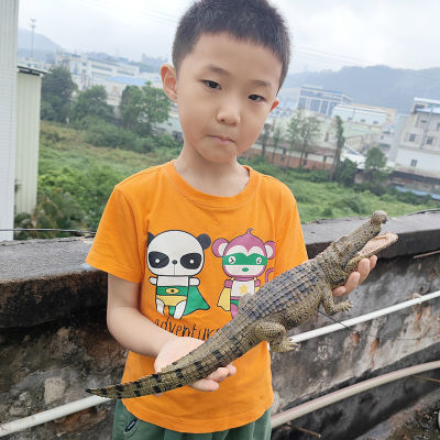 仿真大号实心鳄鱼模型扬子鳄尼罗鳄儿童男孩玩具礼物玩具全套