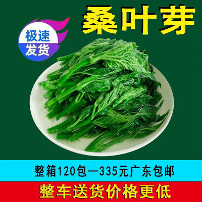 桑叶菜10包桑芽菜新鲜桑叶嫩尖酒店饭店餐饮用冷冻半成品特色菜