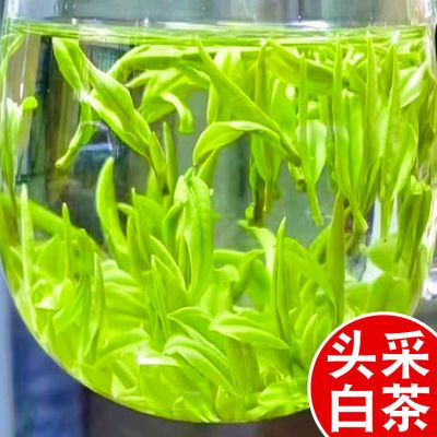 2024新茶【头采珍稀白茶】正品特级白茶毛峰浓香型黄金芽罐装礼盒