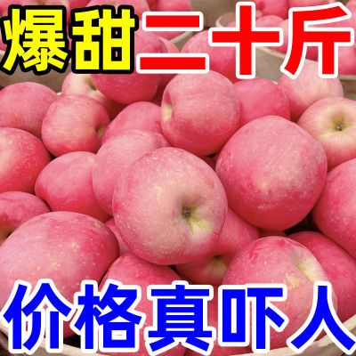 超低价】爆甜陕西红富士苹果新鲜冰糖心脆甜丑苹果水果批发一整箱