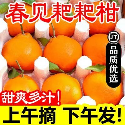 四川春见耙耙柑丑橘粑粑柑正宗整箱橘子水果桔子丑桔新鲜甜柑橘