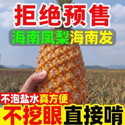 【超甜】海南正宗金钻凤梨手撕凤梨新鲜应季孕妇水果整箱包邮