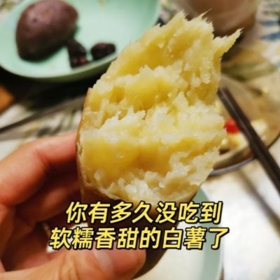 【白心红薯】商薯19粉面甜蜜农家自种产地直发老品种板栗薯整箱