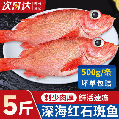 卖鱼七郎红石斑鱼鲜活冷冻海鱼新鲜超大条红鱼龙胆富贵鱼海鲜水产