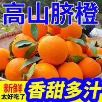 【新鲜采摘】高山脐橙整箱橙子批发榨汁夏橙春橙孕妇应季新鲜水果