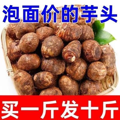 【买就送】新鲜芋头母白芽芋头白心农家正宗芋头白芋母脆口新品种