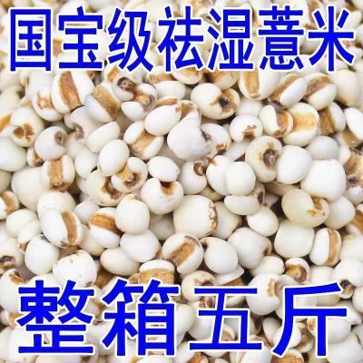 【太便宜了】新货特级今年贵州薏仁米祛湿五谷杂粮清仓便宜批发价