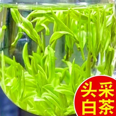 2024新茶【头采白茶】浓香型嫩芽特级白茶叶高档毛峰罐装礼盒装