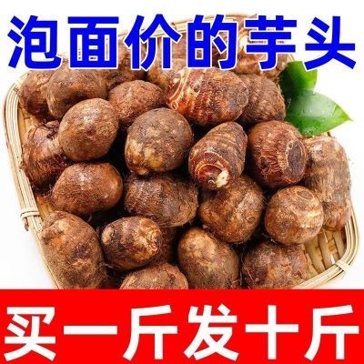 【买就送】新鲜芋头母白芽芋头白心农家正宗芋头白芋母脆口新品种