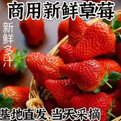 【闪电发货】云南夏季批发价新鲜草莓蛋糕茶饮冰糖葫芦摆摊一整箱