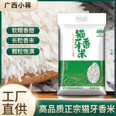 米厂直供广西超长粒丝苗猫牙香米/当季晚稻农家新米南方