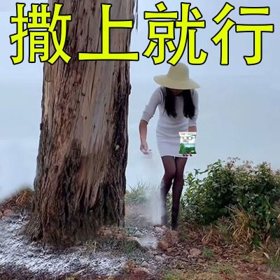 环嗪除草剂高浓度颗粒正品批发斩草除根杂草根连根烂农药专用开荒