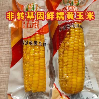 东北黄糯玉米真空玉米棒独立包装非转基因黄糯玉米清仓