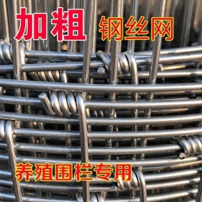 热镀锌铁丝网防锈围栏网批发拦牛羊养殖网牛栏网果园防护网钢丝网