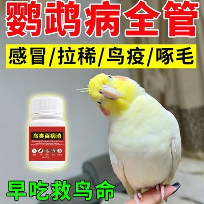 鹦鹉生病专用药鹦鹉感冒没精神鸟瘟不吃食拉稀专用急救鹦鹉鸟用药