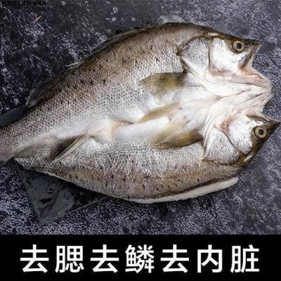 鲈鱼鲜活新鲜海鲈鱼冰冻开背鱼11条13条烤鱼半成品酒店专用食