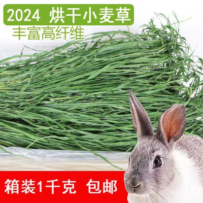 2024烘干小麦草全叶无穗兔子荷兰猪龙猫幼兔干草宠物有机饲料营养