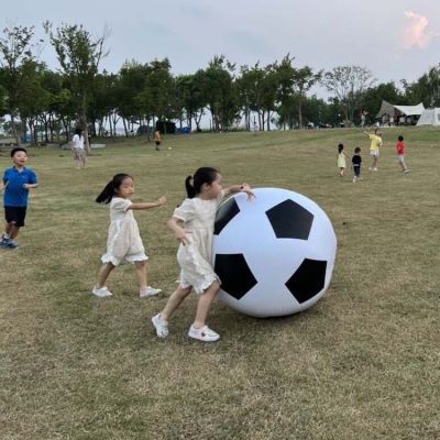 户外儿童玩具超大足球运动酷好玩便携加厚抛接亲子互动气球巨大号