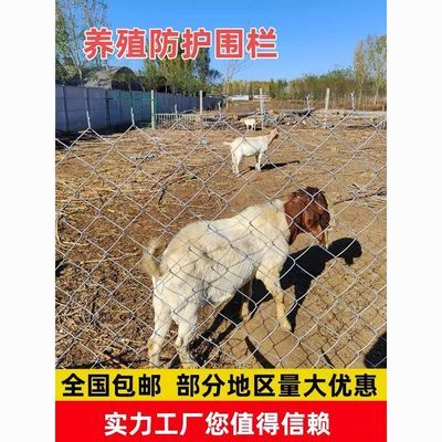 热镀锌养鸡网养殖牛羊果园勾花网钢丝网防锈养鸡家用加粗网网格网