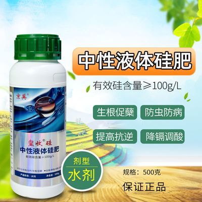 中性液体硅肥促水稻小麦灌浆叶面肥强壮茎杆促蘖抗倒伏调酸提质