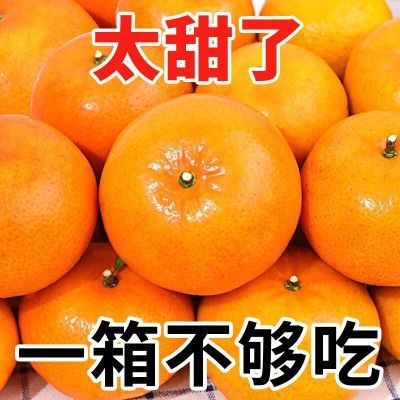 【现摘爆甜】正宗云南大理沃柑桔橘子应季新鲜水果有籽非丑橘10斤