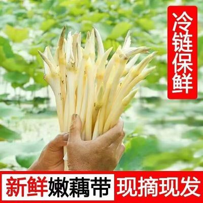 【顺丰包邮】新鲜藕带湖北特产洪湖现采现发藕尖藕肠子时令蔬菜