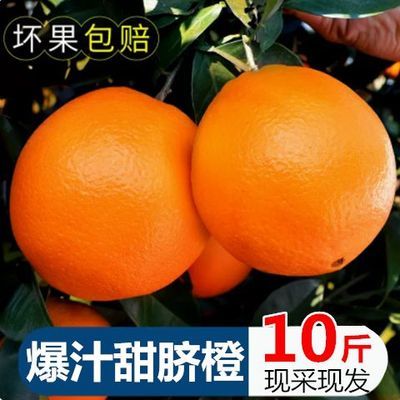 【特价】新鲜脐橙冰糖甜薄皮橙子应季新鲜水果脐橙爱媛果冻橙批发