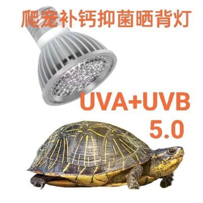 UVB5.0乌龟蜥蜴爬宠补钙助长UVB+UVA+太阳光