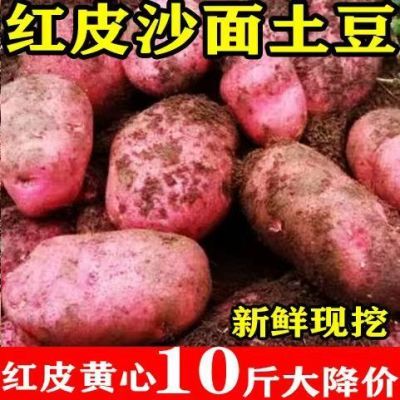9-10斤新鲜云南高山红皮黄心土豆洋芋农家当季正宗马铃薯蔬菜批发