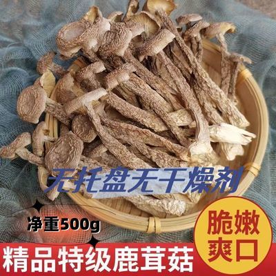 净重鹿茸菇500g新鲜煲汤鹿耳菇古田一等品鹿茸菌干货农家散装无硫