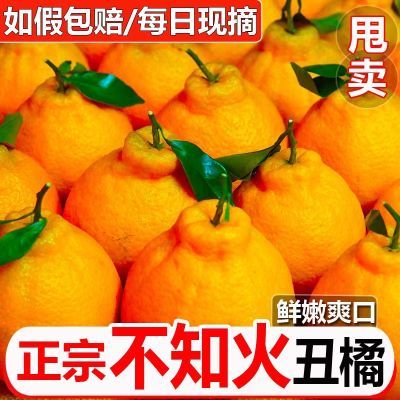 正宗四川不知火丑橘新鲜10斤整箱水果当季粑粑丑八怪柑橘耙耙桔子