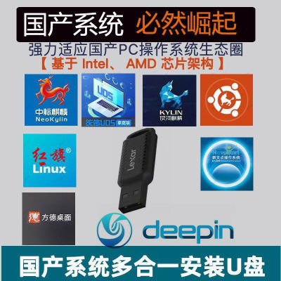 linux操作系统银河麒麟国产系统操作电脑系统雷克沙USB3