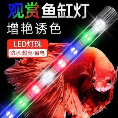 鱼缸灯led灯七彩led灯蓝光鱼缸灯小型迷你蓝色led灯蓝光变色灯