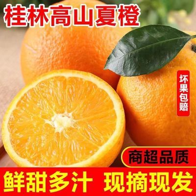 广西桂林夏橙当季鲜脐橙新鲜10斤时令孕妇水果现摘橙子非秭归伦晚