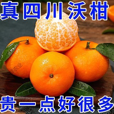 【爆甜沃柑】正宗四川沃柑新鲜现摘水果桔子超甜薄皮蜜桔茂谷柑橘