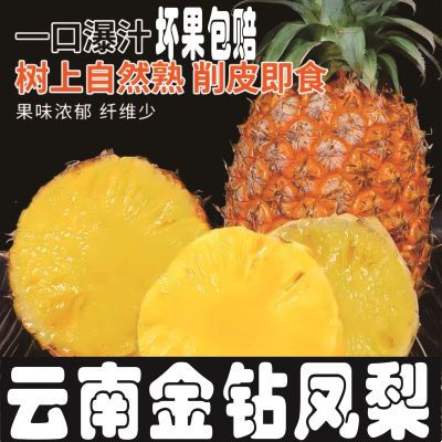 云南西双版纳应季金钻凤梨香甜酸甜凤梨新鲜包邮8成熟产地批发