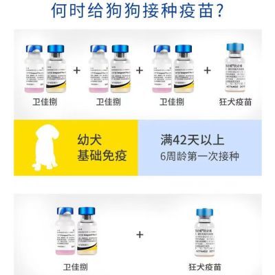 美国辉瑞硕腾卫佳伍卫佳捌成犬幼犬卫佳8疫苗进口狗疫苗免疫套餐